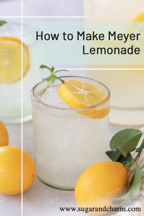 Lemon Aid Recipe, Recipes Using Meyer Lemons, Lemon Drinks, Meyer Lemon Lemonade Recipe, Meyer Lemon Recipes Dinners, Meyer Lemonade Recipe, Making Lemonade Out Of Lemons, Myer Lemon Recipes, Lemonaid Recipe