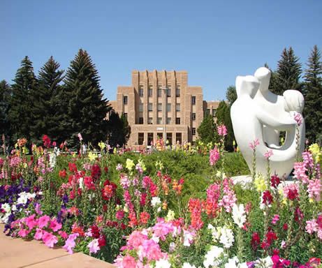 University of Wyoming Cowboy Town, Dream University, Laramie Wyoming, University Of Wyoming, Go Pokes, Wyoming Cowboys, Home On The Range, College Campus, Future Plans