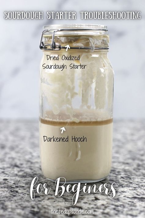 This post breaks down the essential steps for a healthy starter, answering all those common questions and tackling the challenges you might run into. It serves as your basic guide on how to maintain Sourdough Starter for years of happy sourdough making. #SourdoughStarterTroubleshooting #SourdoughStarterTroubleshootingDIY #SourdoughStarterProblems #HowToFeedSourdoughStarter How To Tell When Sourdough Starter Is Ready, How Much Sourdough To Discard, How To Store Sourdough Starter In Fridge, Do You Have To Discard Sourdough Starter, Starting A Sourdough Starter, Stages Of Sourdough Starter, Hooch On Sourdough Starter, King Arthur Sourdough Starter, How To Make Your Own Sourdough Starter