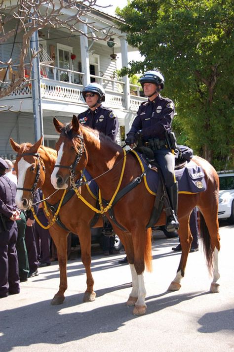 #mounted #police #horse Mississippi Highway Patrol, Horse Knight, Police Horse, Mounted Police, Armored Truck, New York Police, Police Women, Mini Trucks, Horse Drawn