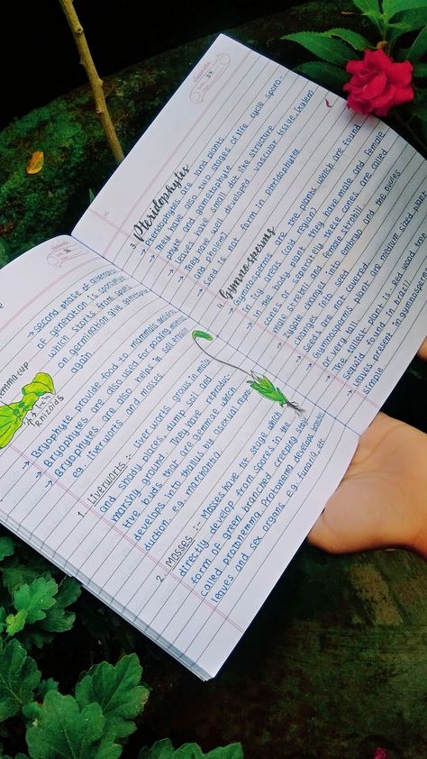 Plant Kingdom | Science notes, Study biology, Biology notes Plant Kingdom Notes Class 11, Botanist Aesthetic, Zoology Notes, Notes Science, Neet Notes, Biology Plants, Learn Biology, Plant Notes, Notes Study