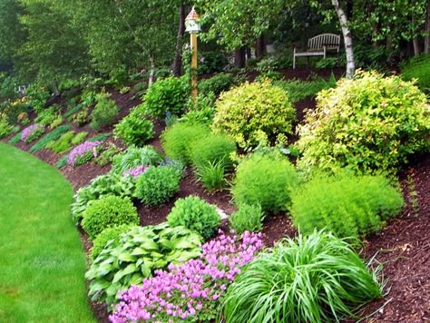 Bank of Color  A pleasing combination of flowers and foliage creates a colorful bank for the lawn area and also stabilizes the soil. Backyard Hill Landscaping, Landscape Shrubs, Landscaping A Slope, Sloped Backyard Landscaping, Landscaping On A Hill, Hillside Garden, Sloped Backyard, Hillside Landscaping, Sloped Garden