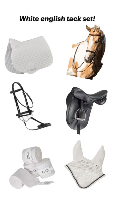 #horse#palomino#preppy#white#tack#english English Tack Sets, English Horse Tack, Horse Palomino, English Tack, English Horse, Tack Sets, Horse Equestrian, Show Jumping, Horse Tack