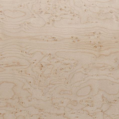 Sauers - Birdseye Maple Veneer Sheet Heavy Figure 4' x 8' 2-Ply Wood on Wood White Chestnut, Wood Veneer Sheets, Birdseye Maple, Furniture Repair, White Bird, Furniture Maker, Wood Texture, Birds Eye, Maple Wood