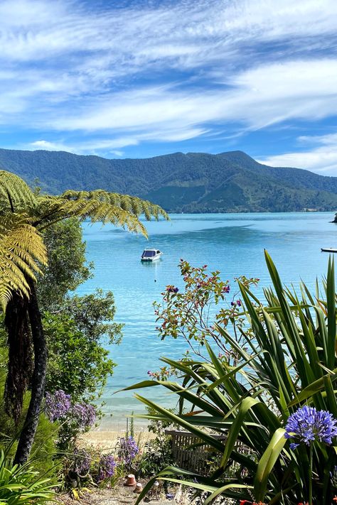 Marlborough sounds in New Zealand- full travel guide linked! Summer In New Zealand, New Zealand Nature, New Zealand Travel Aesthetic, New Zealand Summer, New Zealand Aesthetic, Picton New Zealand, Marlborough New Zealand, Marlborough Sounds New Zealand, Marlborough Sounds