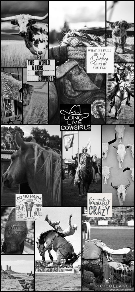 Black And White Western Wallpaper, Nick Wallpaper, Punchy Western Wallpaper Iphone, Rodeo Wallpaper, Western Aesthetic Wallpaper, Western Wallpaper, Country Backgrounds, Aesthetic Types, Country Vibes