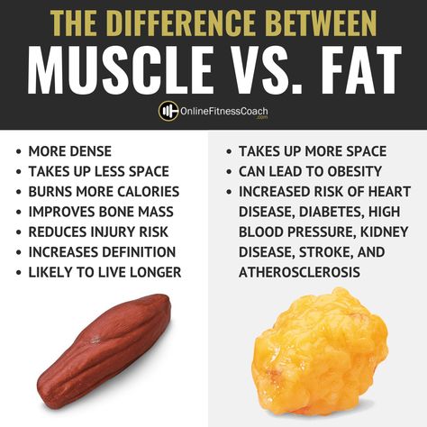 Muscle vs. Fat Muscle Vs Fat Pictures Perspective, Same Weight Fat Vs Muscle, Corinne Crabtree, Fat Vs Muscle, One Pound Of Fat, Fat Loss Tips, Fitness Memes, Online Fitness Coaching, Pound Of Fat