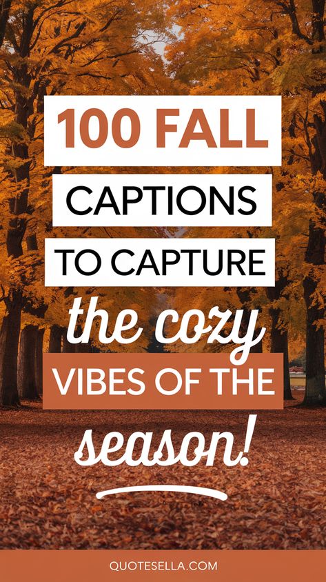 Fall Captions Fall Post Captions, Instagram Captions Fall Season, Fall Quotes Instagram, Autumn Vibes Quotes, Autumn Quotes Instagram, Fall Insta Captions, Autumn Instagram Captions, Fall Vibes Quotes, New York Fall Aesthetic