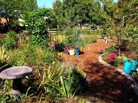 California Front Yard, Lawn Alternative, Permaculture Food Forest, Food Not Lawns, Backyard Food, Food Forest Garden, Lawn Ideas, Edible Landscape, Lawn Alternatives