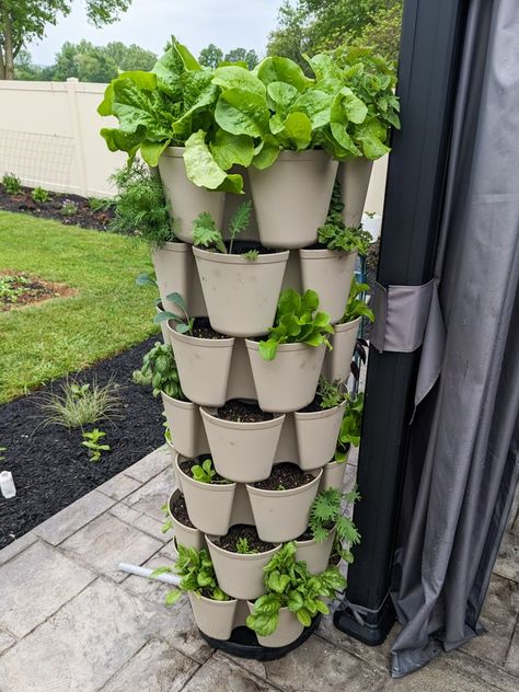 Vertical Garden Planter Ideas, Vertical Planters Outdoor, Diy Vertical Vegetable Garden, Stacked Planter Ideas, Vertical Food Garden, Stackable Garden Planters, Green Stalk Vertical Garden Ideas, Diy Stackable Planters, Green Stalk Vertical Garden