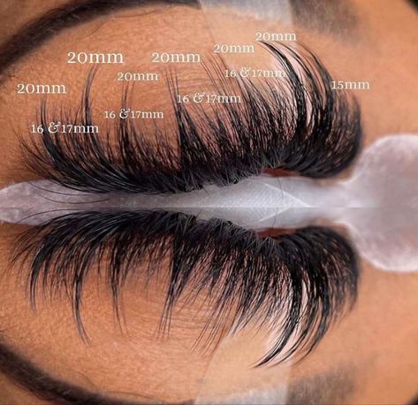 Wispy Lash Mapping Eyelash Extensions, Lash Extension Mapping Styles Wispy, Lash Extension Mapping Styles, Lash Mapping Eyelash Extensions Wispy, Wispy Lash Mapping, Whispy Lashes Extensions Map, Wispy Eyelash Extensions Map, Lash Extensions Styles Mapping, Wispy Lash Extensions Mapping