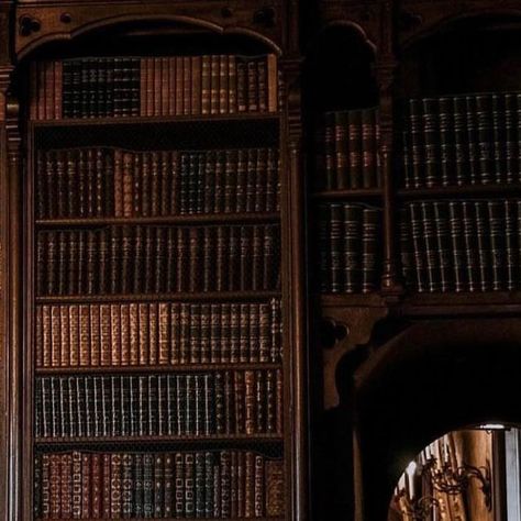 Medieval Library Aesthetic, Medieval Castle Aesthetic Interior, Medieval Castle Interior, Medieval Library, Castle Aesthetic Interior, French Nobility, Castle Library, Castle School, History Of Magic