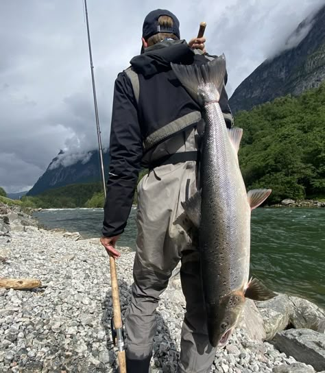 Wilderness Photography, Alaska Fishing, Fish Tales, Fishing Photography, Fly Fishing Gear, Fishing Pictures, Bowfishing, Norway Travel, Fish Ponds