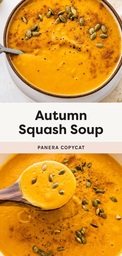 This Panera autumn squash soup combines butternut squash, carrots, pumpkin, apple and warming spices for a creamy, velvety smooth soup that tastes like fall in a bowl! It's even better than Panera! Pumpkin Or Squash Soup, Butternut Squash Soup Apple, Butternut And Pumpkin Soup, Squash And Pumpkin Recipes, Pumpkin Squash Soup Recipes, Panera Butternut Squash Soup Copycat, Butternut Apple Squash Soup, Autumn Squash Soup Panera, Butternut Squash Soup Panera