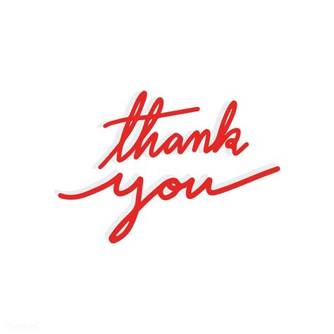 Thank you typography vector in red | free image by rawpixel.com Thank You Aesthetic, Thank You Typography, Logo Tree, Short Phrases, Thank You Images, Thank You Quotes, Png Text, Warrior Quotes, French Words