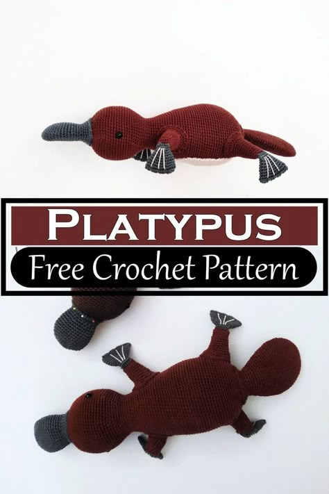 Crochet Platypus Free Crochet Platypus Pattern, Amigurumi Platypus Free Pattern, Crochet Platypus Pattern, Crochet Arctic Fox Pattern Free, Odd Crochet Patterns, Platypus Crochet Pattern Free, Possum Crochet Pattern Free, Crochet Platypus, Animal Crochet Patterns