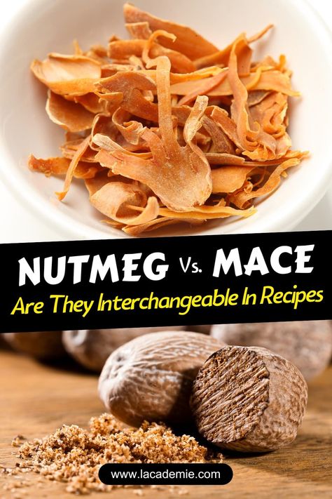 Nutmeg vs. Mace: Interchangeable or Not? Best Answer for 2024 Nutmeg Spice, Myristica Fragrans, Increase Appetite, European Cuisine, Cheesy Sauce, Ground Nutmeg, Which Is Better, Best Answer, Spice Blends