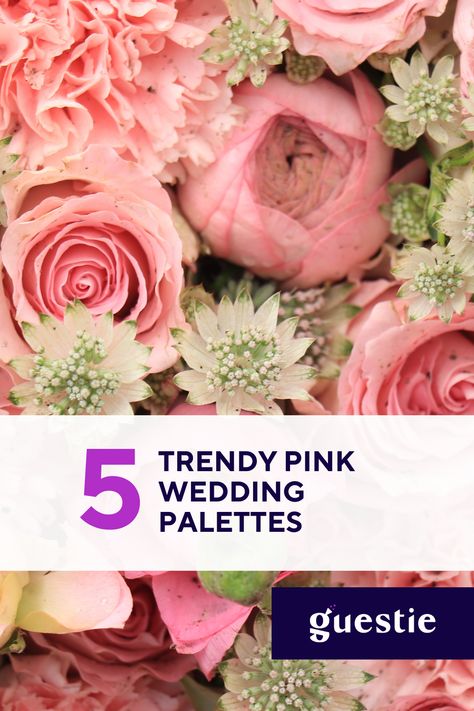 Get inspired by these 5 viral-worthy pink wedding palettes that have stolen the hearts of brides everywhere! Find the perfect blend of romance, elegance, and whimsy for your special day. 💖 Pastel Pink Wedding Theme Colour Palettes, Pink Spring Wedding Theme, Pink Wedding Mood Board, Pink Wedding Palette, Pink Spring Wedding, Pastel Pink Wedding, Bright Pink Wedding, Wedding Palettes, Pastel Pink Weddings