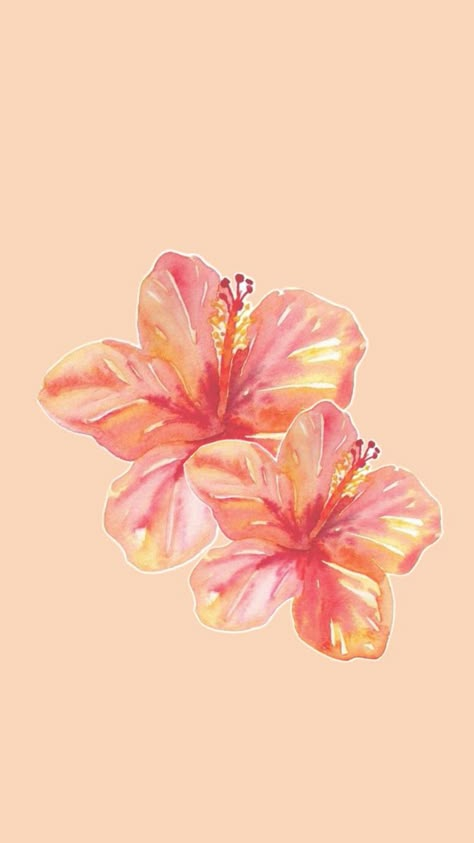 Pink And Orange Hibiscus Wallpaper, Summer Wallpaper Hibiscus, Hibiscus Aura Wallpaper, Flower Wallpaper For Ipad, Iphone Summer Wallpaper Aesthetic, Summer Wallpaper Iphone Aesthetic Lockscreen, Hawaii Flowers Wallpaper, Hibiscus Wallpaper Iphone, Hawaiian Flower Wallpaper