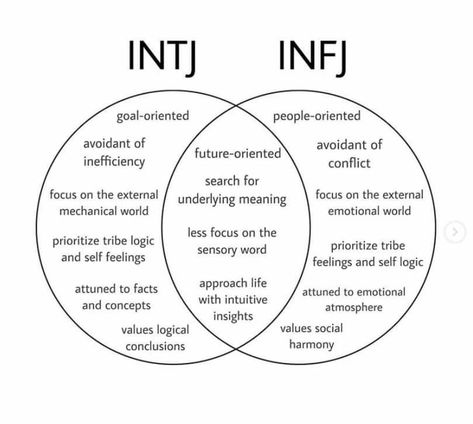 Intj Infj, Infj Relationships, Personalidad Infj, Infj Traits, Infj Humor, Sensory Words, Infj Things, Infj Psychology, Intj T