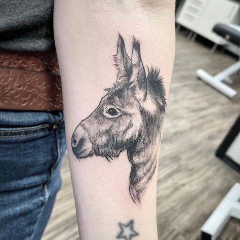 Donkey Tattoo Ideas, Mule Tattoo, Donkey Tattoo, Empire Tattoo, Tattoo Pics, Ghost Tattoo, Gold Tattoo, Head Tattoos, Edmonton Alberta