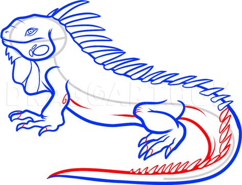 Iguana Tattoo, Coloring Page Preschool, Dragon In Flight, Flying Dragon, Drawing Guide, Animal Activities, Dragon Drawing, Guided Drawing, Step Drawing