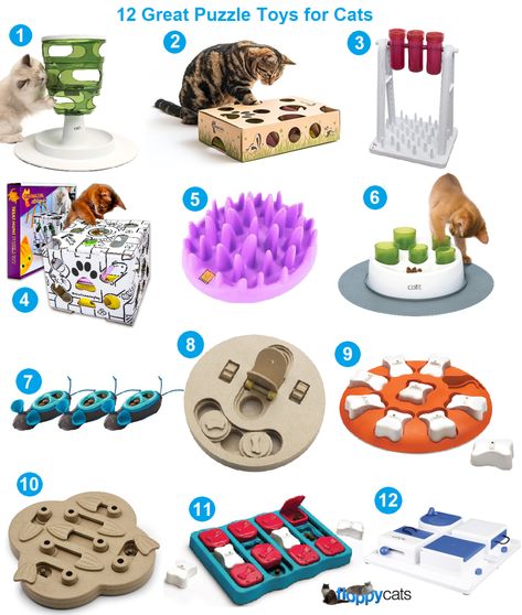 Puzzle Toys for Cats | Cat Games | Cat Interactive Toys Cat Puzzle Toys, Diy Cat Puzzles, Cat Games For Cats, Cat Enrichment Ideas, Pet Games, Cat Enrichment, Cat Games, Pets Stuff, Cat Supplies List