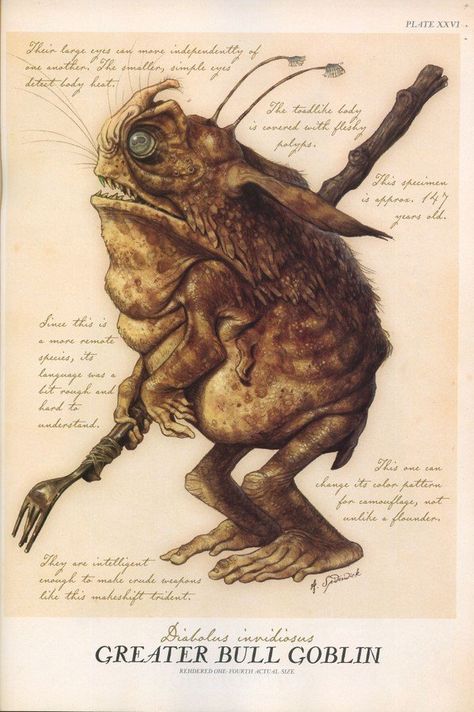 This is a Greater Bull Goblin | Goblins (Family: Adentidae) | Sometimes Sprites are called Faeries, even though we all know the term "Faerie" can be used to designate creatures like Trolls, Giants and Kelpies as well. Mystical Creatures Mythology, Tony Diterlizzi, Magic Creatures, Spiderwick Chronicles, Green Goblin, Forest Creatures, Scary Art, Dragon Artwork, Arte Inspo