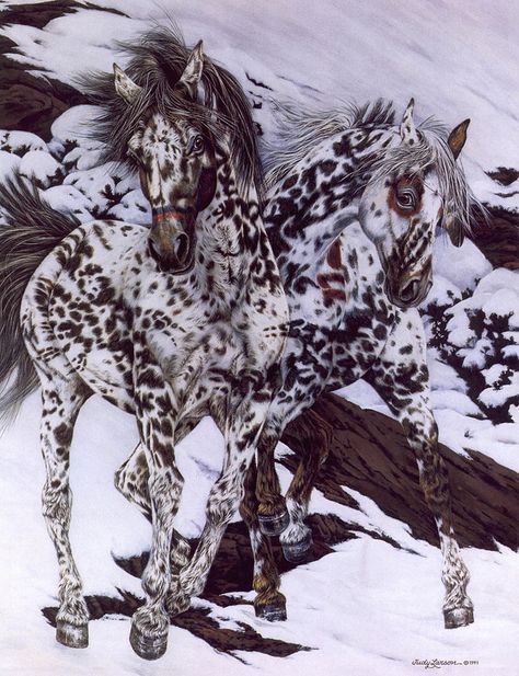 Crow Ponies - Bev Doolittle Native Horse, Camouflage Art, Bev Doolittle, Horse Beautiful, Indian Horses, Painted Ponies, Hidden Images, Horse Paintings, Horse Artwork