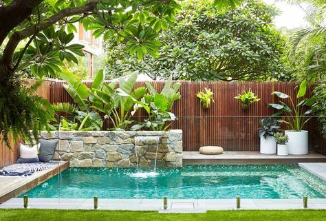 Small Pools Backyard, Luxury Pools Backyard, Sydney Gardens, Japanese Style Garden, Indoor Pool Design, Small Pool Design, Meteor Garden 2018, Small Pools, Backyard Pool Designs