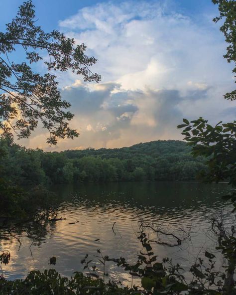 Radnor Lake Nashville, Fall Nails Square, Tennessee Nature, Tennessee Aesthetic, Travel Tennessee, Aesthetic 2023, Nails Fall Nails, Tennessee Vacation, Senior Trip