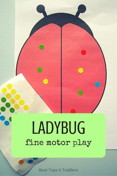 Best Toys 4 Toddlers - Ladybug fine motor play and counting practice for toddlers and preschoolers Fine Motor Play, Bug Activities, Insects Preschool, Bugs Preschool, Counting Practice, Insect Activities, Toddler Lessons, Insect Crafts, Counting Activity