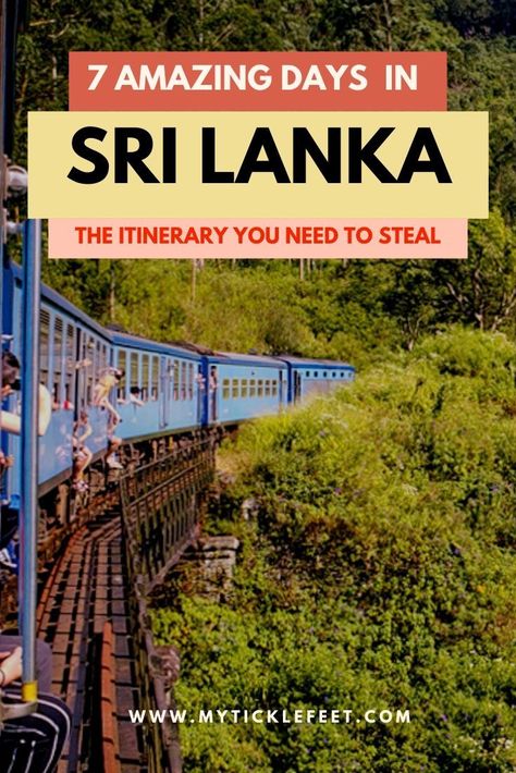 How to spend 7-10 days in SriLanka seeing the best of places. A full guide on where to stay and how to travel within SriLanka. #Srilanka #travelasia #asia #itinerary #7days #travel Sri Lanka 1 Week Itinerary, Sri Lanka 7 Days, Sri Lanka Tourism, Sri Lanka Itinerary 10 Days, Dambulla Sri Lanka, Sri Lanka Travel Guide, Sri Lanka Bucket List, Srilanka Tourism, Sri Lanka Aesthetic