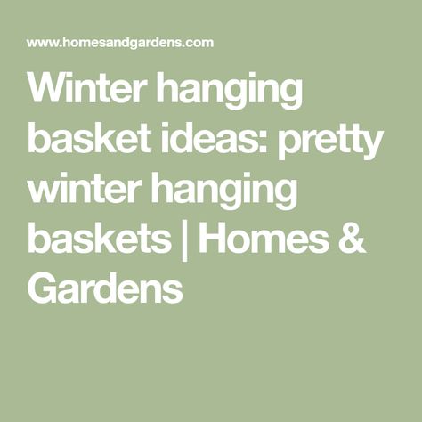 Winter hanging basket ideas: pretty winter hanging baskets | Homes & Gardens Winter Hanging Baskets, Hanging Basket Ideas, Burford Garden Company, Fern Images, Winter Blooms, Plants For Hanging Baskets, Trailing Plants, Hardy Perennials, Tall Plants