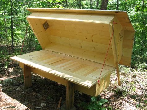 Top Bar Hive, Bee Hive Plans, Backyard Bee, Raising Bees, Bee Free, Bee Boxes, Bee Keeper, Wall Drawing, Organic Honey