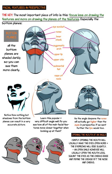 Low Angle Face Reference, Low Angle Reference, Head Up Pose, Face Low Angle, Low Angle Pose Reference, Head Anatomy, 얼굴 드로잉, Human Anatomy Drawing, Drawing Heads