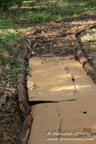 Homestead Yard Ideas, Natural Landscape Design Backyard Ideas, Paths Through The Woods, Plants Lining Walkway, Privacy Fence In Woods, Forest Yard Ideas, Woodland Yard Landscape Design, Winding Garden Pathways, Wood Trails Pathways