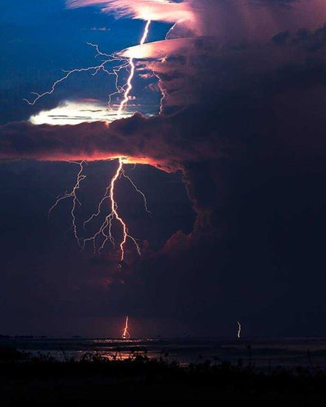 There is a region in South America where you can witness a mighty and spectacular lightning display for almost half the year. This region hosts the world’s greatest natural light show; the Catatumbo Lightning. Catatumbo Lightning, Female Giant, Lightning Sky, Pictures Of Lightning, Crazy Photos, Lightning Photography, Weather Storm, Storm Photography, Wild Weather