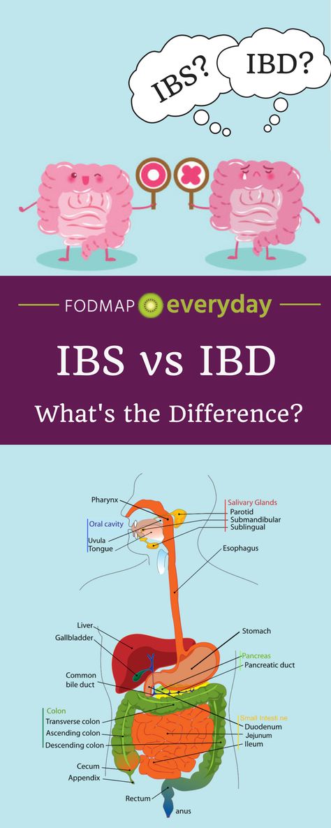 Ibs Flare Up, Constipation Diet, What Is Ibs, Ibs C, Fodmap Diet Plan, Ibs Fodmap, Irritable Bowel Disease, Ibs Relief, Fodmap Foods