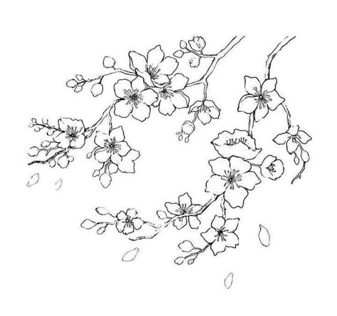 Cherry Flowers Drawing, Cherry Blossom Tattoo Linework, Cherry Blossom Tattoo Sketch, Cherry Blossom Line Art Tattoo, Cherry Blossom Tree Outline, Cherry Blossom Tree Tattoo Stencil, Cherry Flower Drawing, Cherry Blossom Tattoo Drawing, Cherry Blossom Line Drawing