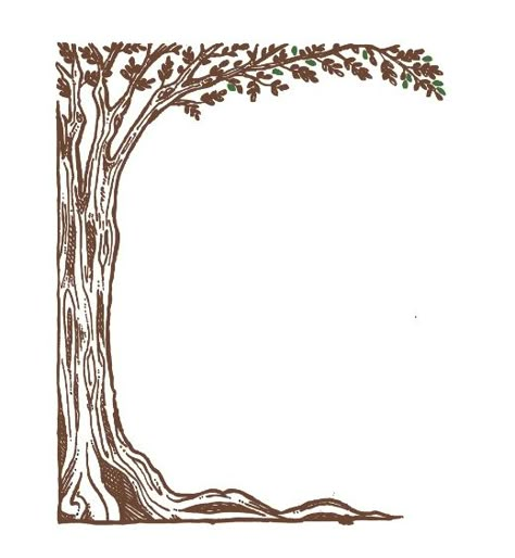 Custom Label Design: Olive Tree Tree Frame Design, Tree Border Design Drawing, Olive Tree Border, Tree Border Drawing, Olive Tree Design, Tree Border Design, Olive Tree Drawing, Tree Border, Frames Design Graphic