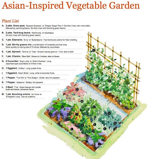 Planting Garden, Vegetable Garden Beds, Vegetable Garden Planner, Vertical Vegetable Garden, Small Vegetable Gardens, Garden Layout Vegetable, Asian Vegetables, Vegetable Garden Planning, Garden Plan