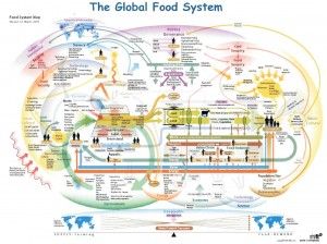 The Global Food System Infographic Map Agriculture Projects, System Map, Infographic Map, Global Food, Food Tech, Sustainable Community, Food Insecurity, Sustainable Agriculture, Food System