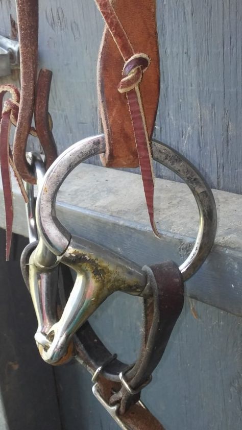 Bits 101: Western Snaffle Basics | Equestrian Writer Horse Exercises, Western Bridles, Tack Shop, Snaffle Bit, Saddle Accessories, Western Tack, Riding Lessons, Horse Logo, Bridles