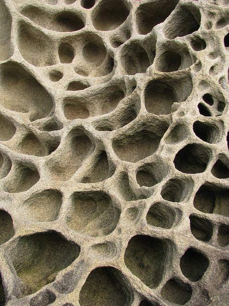 Honeycomb Texture, Cool Textures, Rock Texture, Organic Structure, Terraria, Rock Textures, Natural Structures, Organic Pattern, Natural Rock