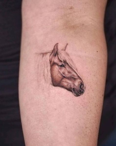 Horse Tattoo Design, Inner Forearm, Horse Tattoo, Animal Portraits, Horse Portrait, Realism Tattoo, Eye Tattoo, Little Tattoos, Tattoo On