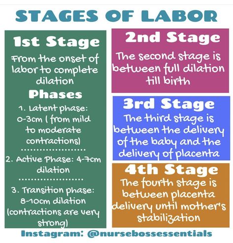 Stages Of Labor Nursing, Nurse Vocabulary, Gerontology Nursing, Study Sheets, Nursing Essentials, Nursing Cheat Sheet, Paramedic School, Nursing Cheat, Nursing School Essential