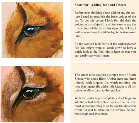 How to Paint Fur – Texture (short fur) – How to Draw and Paint Animals – Wildlife Art Videos, Pastel pencil and oil painting Lessons Fur Painting, Oil Painting Videos, Animal Paintings Acrylic, Paint Animals, Painting Fur, Jason Morgan, Paint Tutorials, Oil Painting Lessons, Oil Painting Tutorial