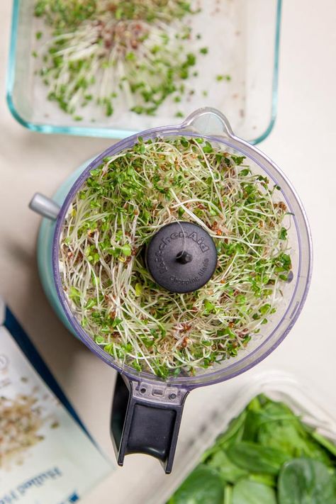 Recipes With Broccoli Sprouts, How To Eat Broccoli Sprouts, Broccoli Sprout Recipes, Broccoli Sprouts Salad, Broccoli Sprouts Recipes Dishes, Microgreen Pesto Recipe, Micro Greens Recipe Meals, Broccoli Microgreens Recipe, Microgreens Recipe Ideas