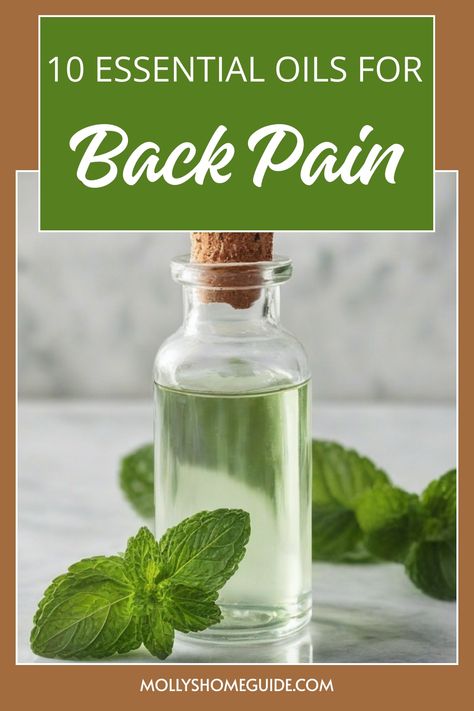 Discover the power of essential oils to alleviate back pain with our top 5 picks for relief recipes. These powerful oils target inflammation, muscle pain, neuropathy, and arthritis discomfort. Whether you're seeking natural remedies or pain relief blends, these essential oils can help soothe your lower back pain effectively. Explore the benefits of incorporating essential oils into your wellness routine and experience the soothing properties for yourself. Say goodbye to aches and pains with thes Lower Back Pain Relief Remedies, Essential Oils For Back Pain Relief, Essential Oils For Back Pain, Essential Oils For Muscle Pain, Essential Oils Muscle Pain, Roller Ball Essential Oil Recipes Headache, Essential Oils Muscle Relaxer, Essential Oil For Muscle Spasm, Essential Oil Allergy Relief Roller